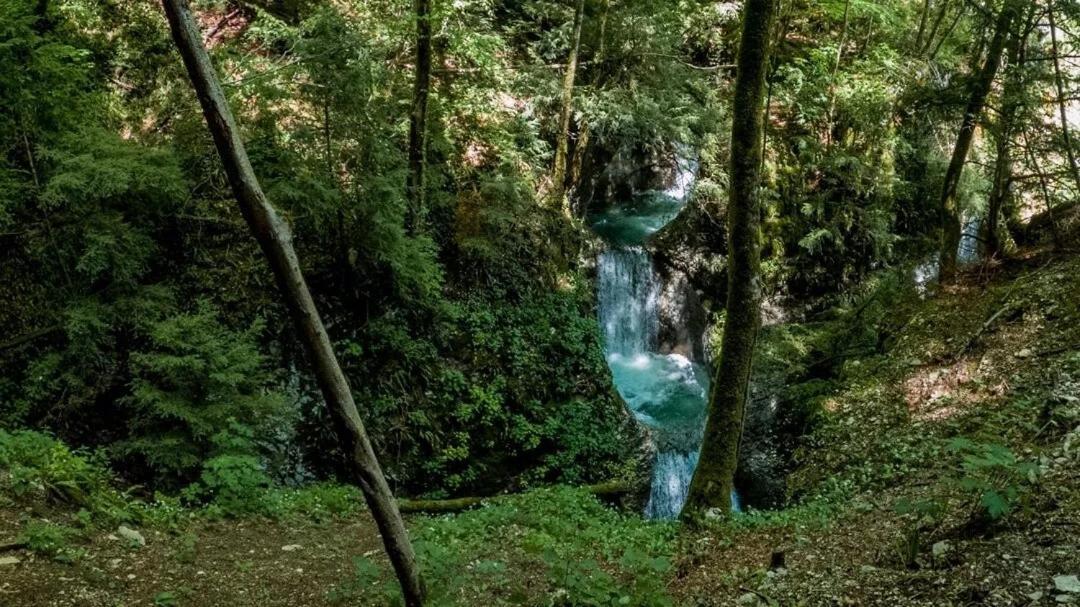 B&B Gianchia Brentino Belluno Экстерьер фото